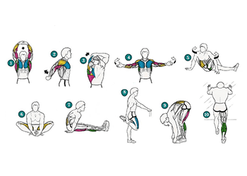 warm up basic strengthening exercises